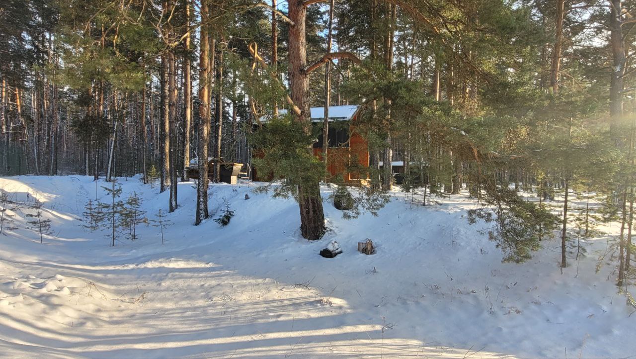 Фото от глэмпинга